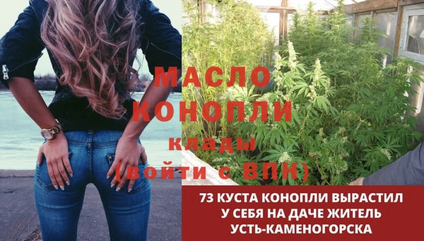 эйфоретик Нязепетровск