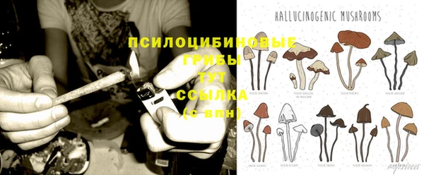скорость Баксан