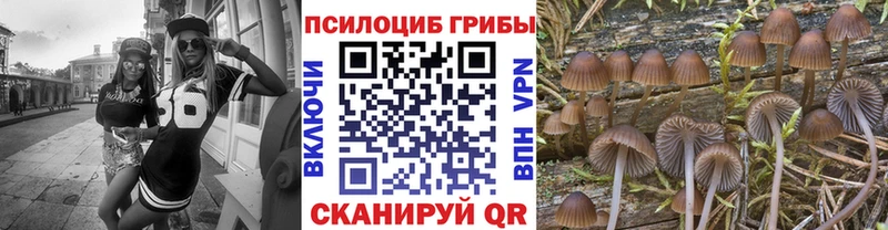 как найти закладки  Нязепетровск  кракен как войти  Галлюциногенные грибы мухоморы 